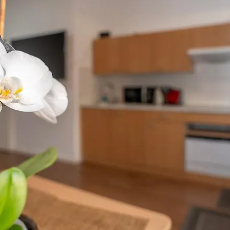 Nest By Comfort Housing - 1 Bedroom Фалькензе