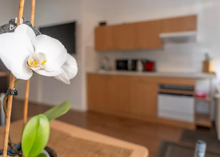 Nest By Comfort Housing - 1 Bedroom Falkensee